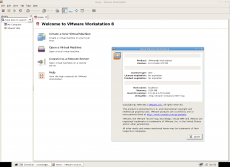 VMWare Workstation 8.0.1 build 528992 x86/x86-64 for Linux [ 2011/11/18]