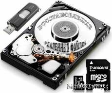 Raise Data Recovery for Ext2/Ext3/Ext4 (2011) PC